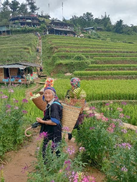 Lào Cai