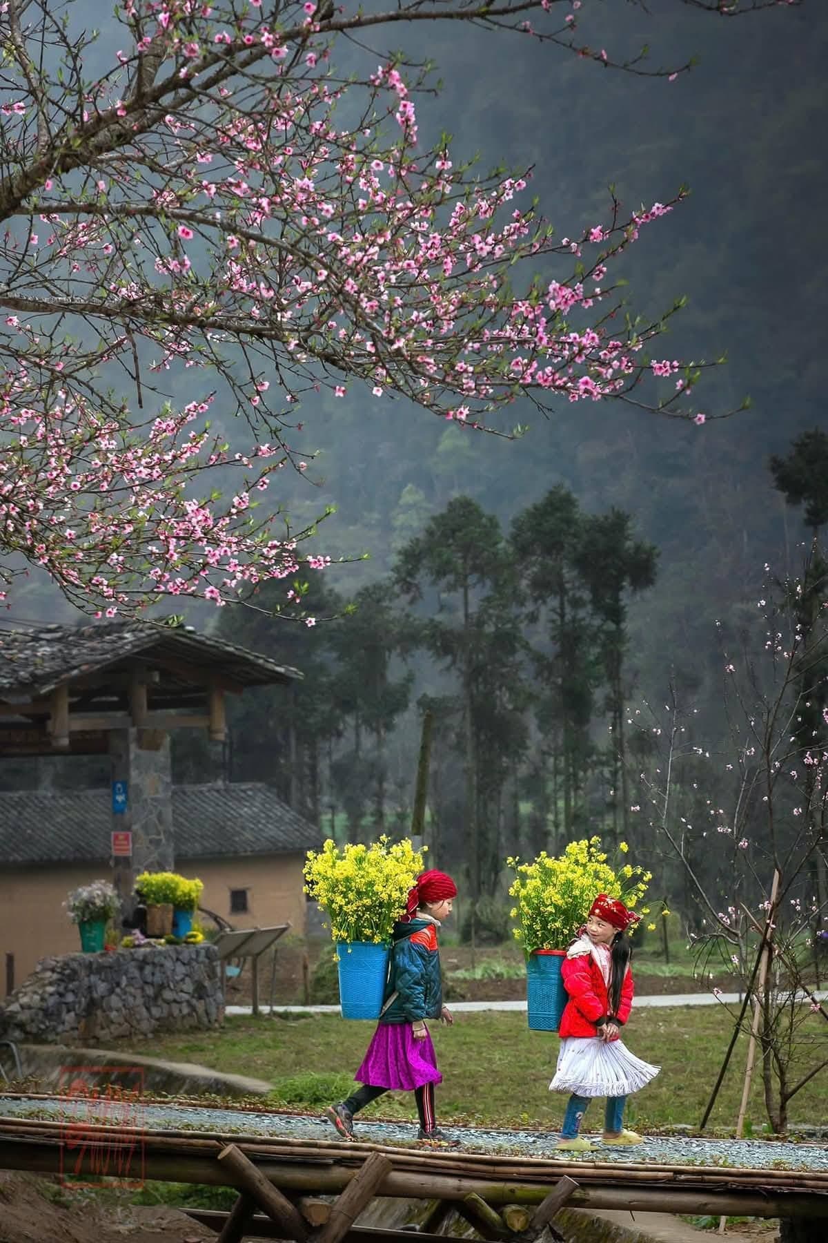 A local guide leading travelers through a mountain pass in northern Vietnam