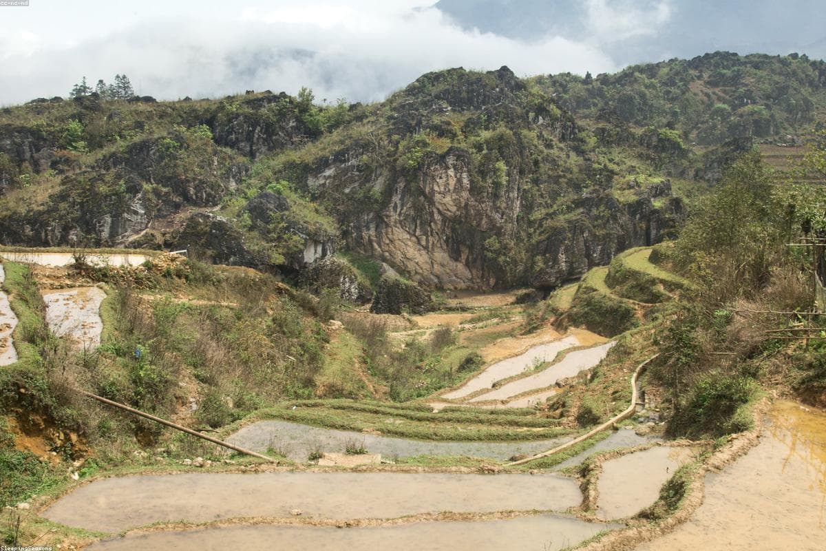 Rice terraces in northern Vietnam at sunrise
