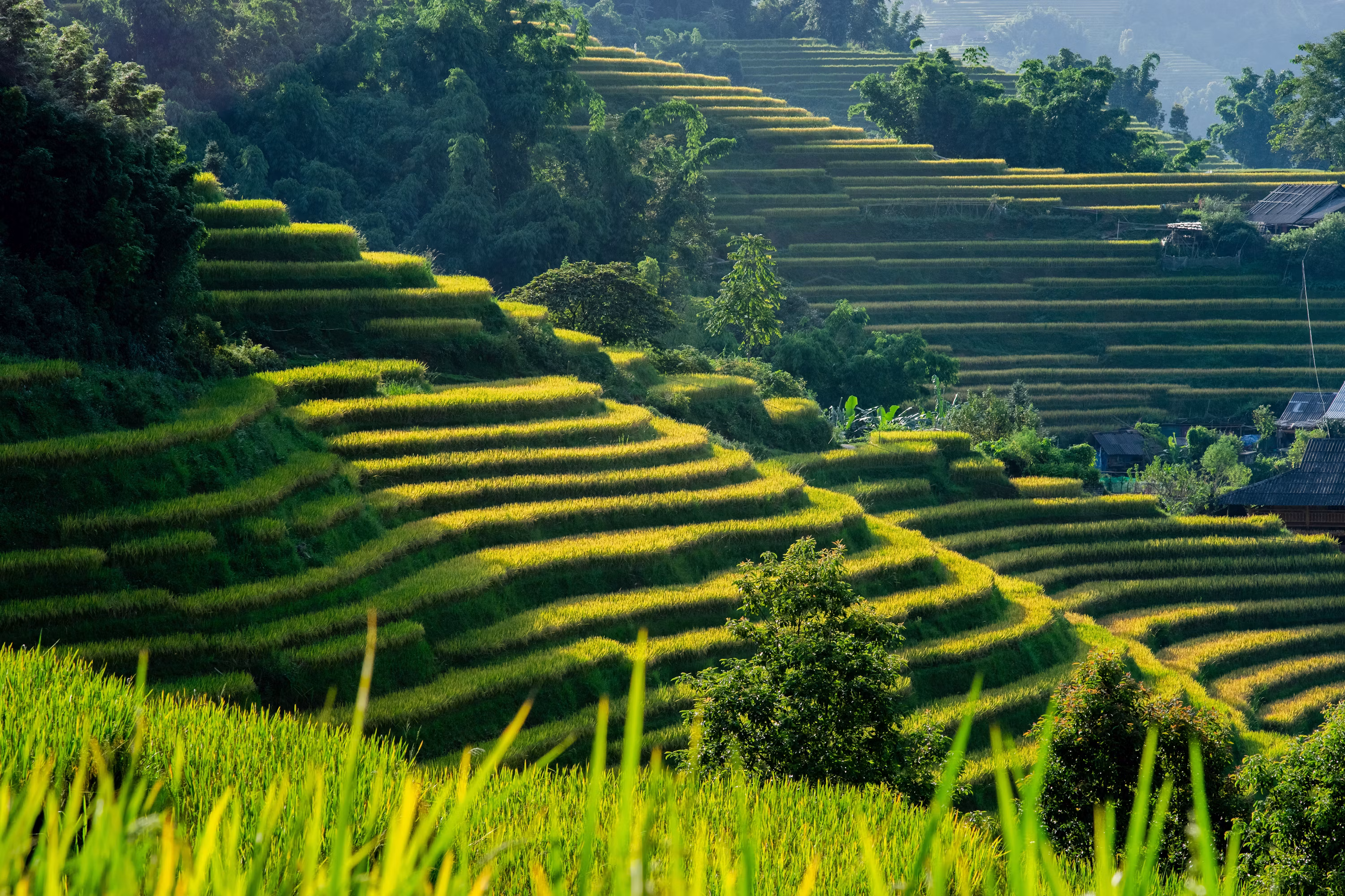Lao Cai