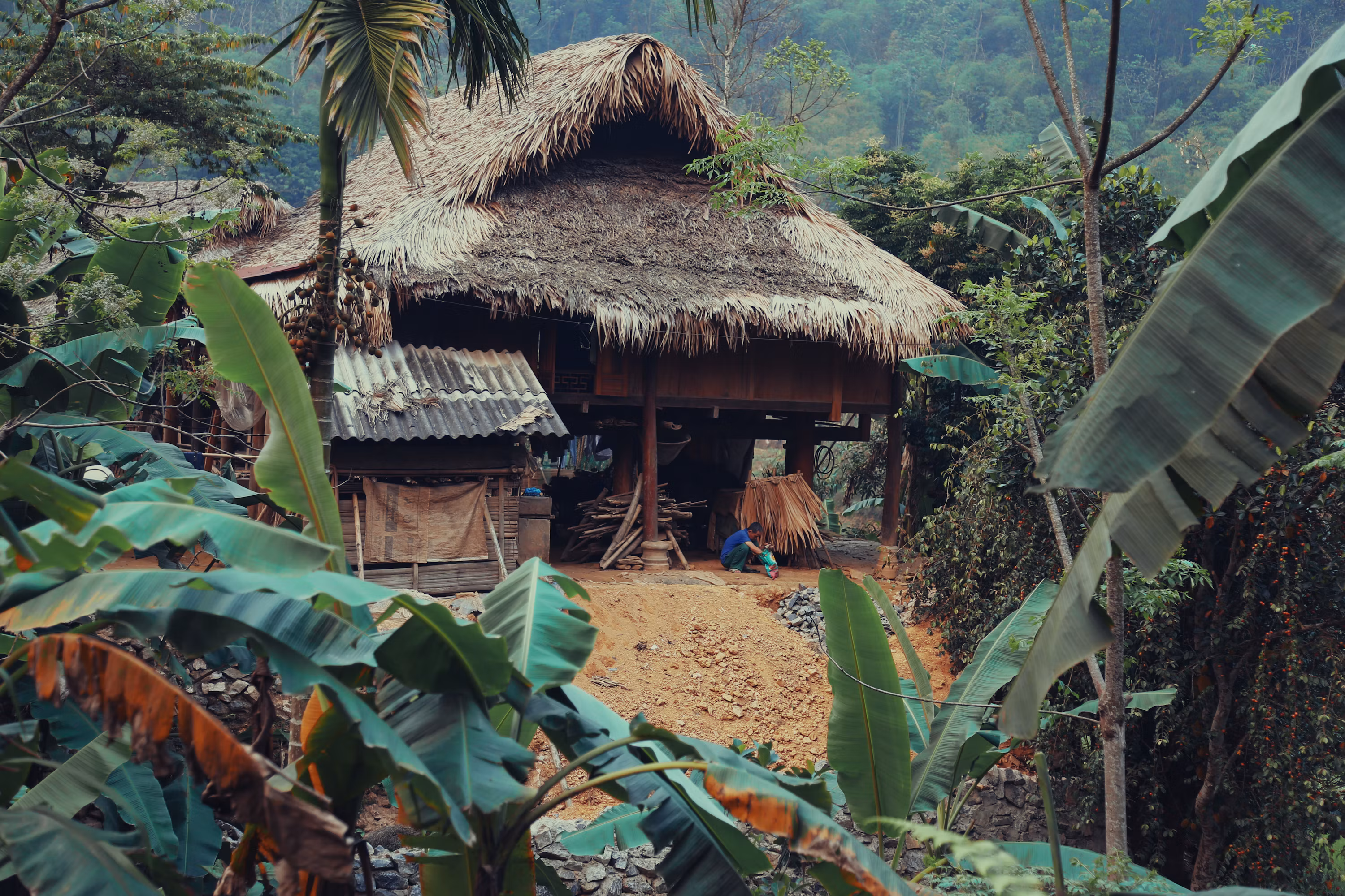 Thanh Hoa